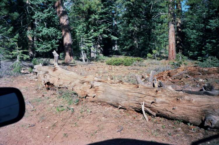 usa_1990-05-18 00-00-01_r04f30